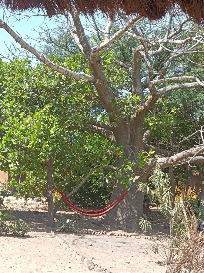 Naturubuntu Kafountine Extérieur photo