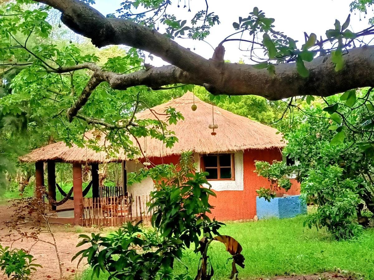 Naturubuntu Kafountine Extérieur photo
