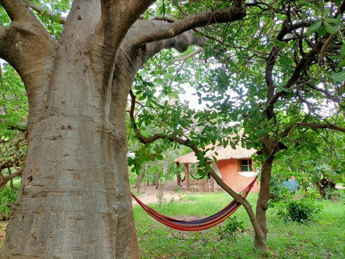 Naturubuntu Kafountine Extérieur photo